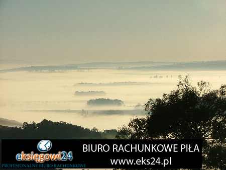 nowoczesne tapety na ścianę