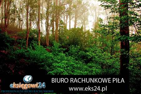 cennik biuro księgowe Pila