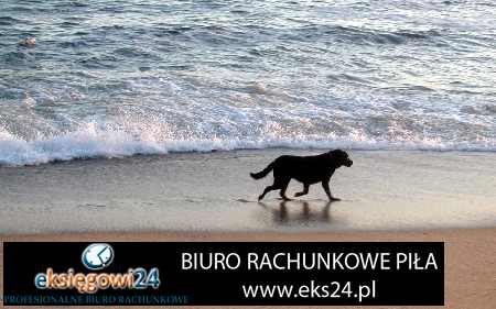 biura rachunkowe Szydłowo