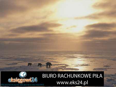 księgowe biuro rachunkowe Piła