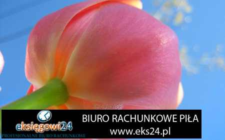 Chodzież biura rachunkowe