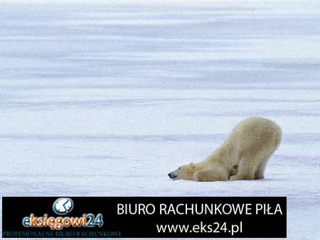 polecane biuro rachunkowe Piła