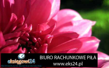 biuro rachunkowe Ujście 