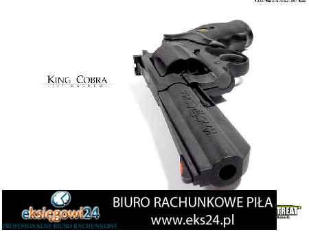 usługi księgowe Piła