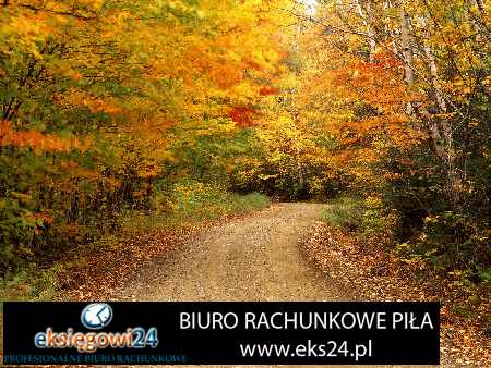 tapeta ścienna młodzieżowa