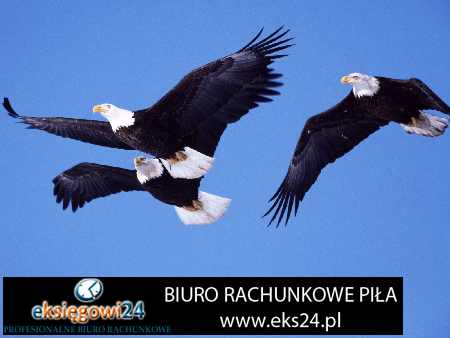 biura rachunkowe Piła
