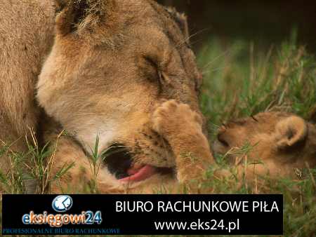 biuro podatkowe Wałcz