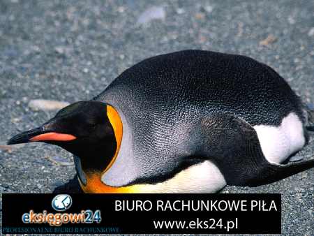 biuro rachunkowe Piła