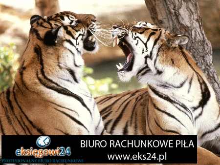 Biuro rachunkowe w Pile
