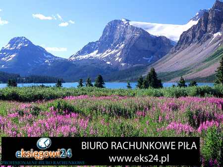 Biura rachunkowe Pila