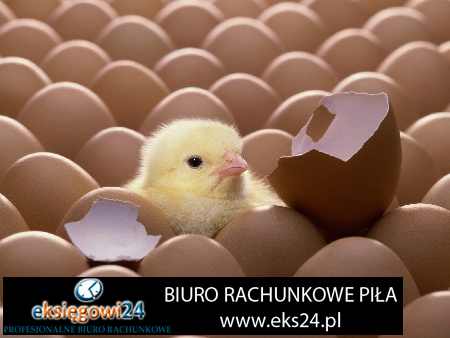 biura rachunkowe Piła