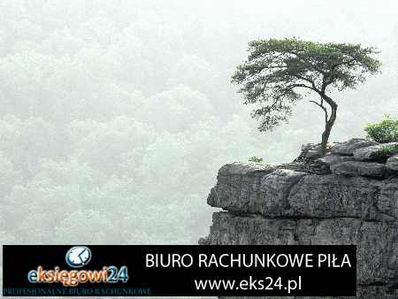 dobre biura rachunkowe Piła
