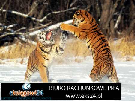 Biuro rachunkowe Pila