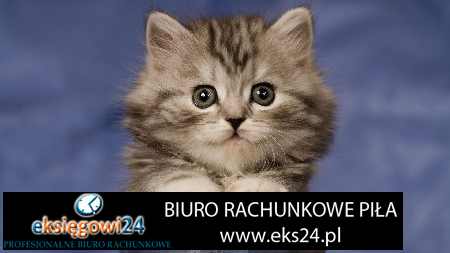 biuro księgowe Piła