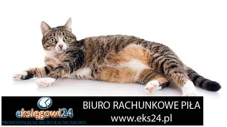 biuro rachunkowe Piła