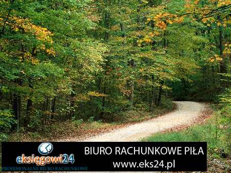 Piła biura podatkowe