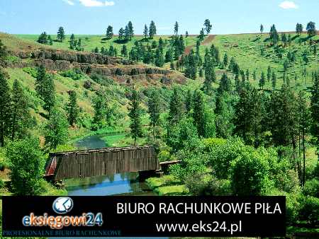 Biuro księgowe Czarnków Ceny biura rachunkowe Czarnków zawęźlałeś