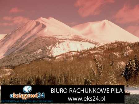 Piła biura rachunkowe