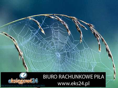 Biuro rachunkowe w Pile