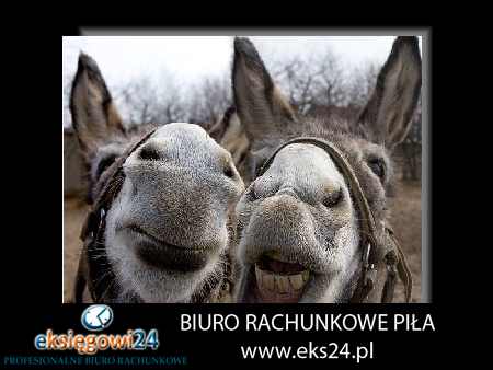 Biura rachunkowe Pila