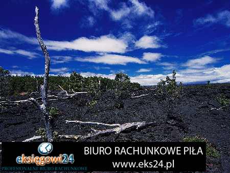 modna tapeta na ścianę