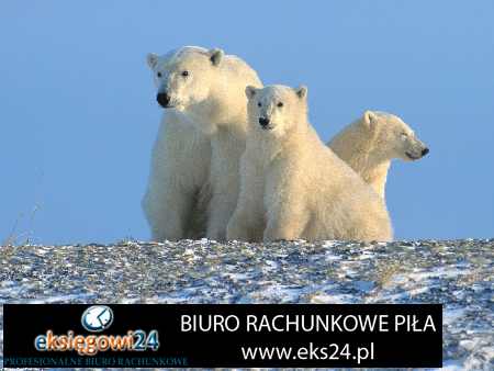 super biuro podatkowe Piła