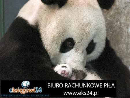 biuro rachunkowe Trzcianka