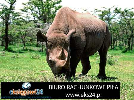 księgowość Wyrzysk