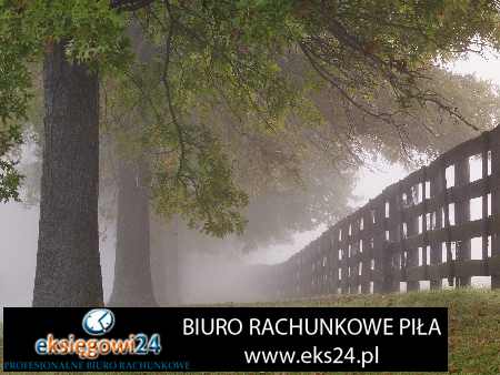 biuro podatkowe Piła