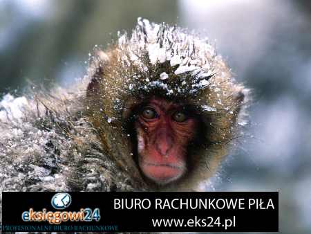 biuro rachunkowe Piła