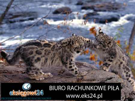 tapeta ścienna winylowa