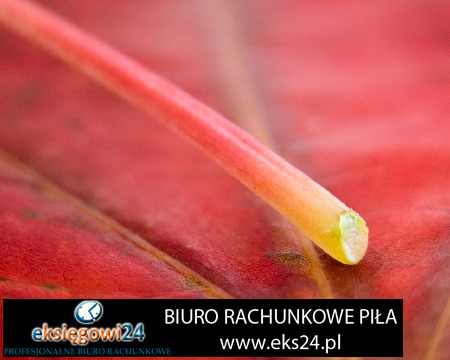 biuro rachunkowe Szydłowo