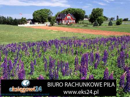 księgowy w Pile