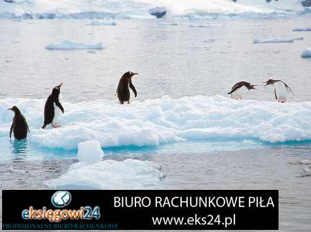 biuro podatkowe rachunkowe Piła