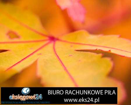Biuro rachunkowe Pila