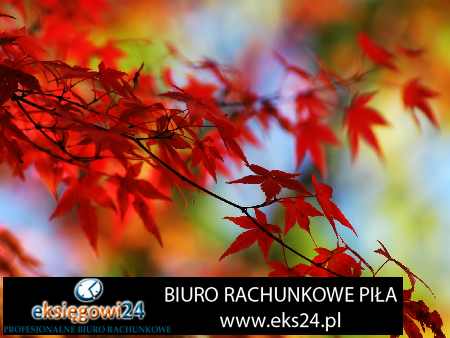 księgowość Ujście