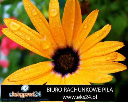 Biura rachunkowe Pila