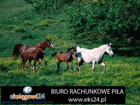 biura rachunkowe Piła