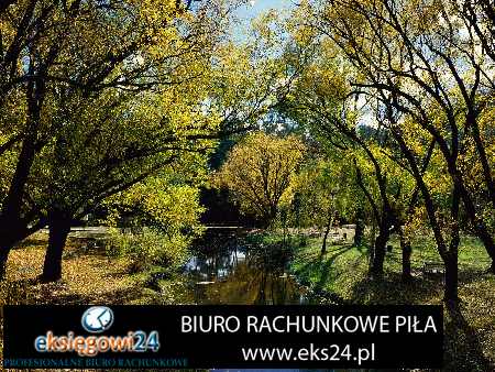 Pila biura rachunkowe