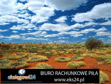 Pila biura rachunkowe