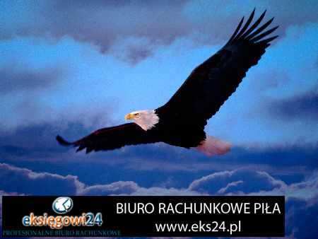 modna tapeta na ścianę