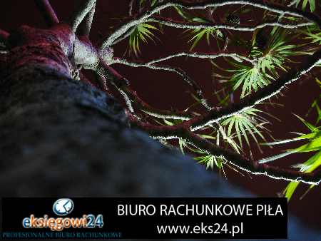 Piła biuro rachunkowe