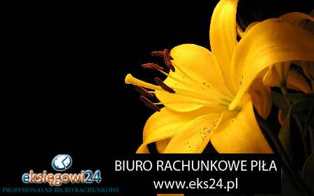 Pila biuro rachunkowe