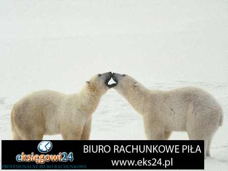 biura rachunkowe Piła