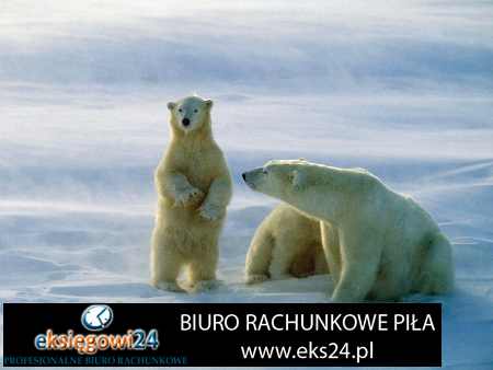 biuro rachunkowe Piła