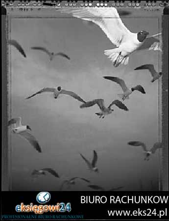 Biuro rachunkowe w Pile