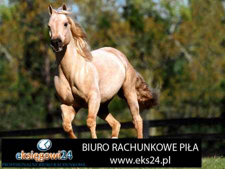 Biuro rachunkowe w Pile