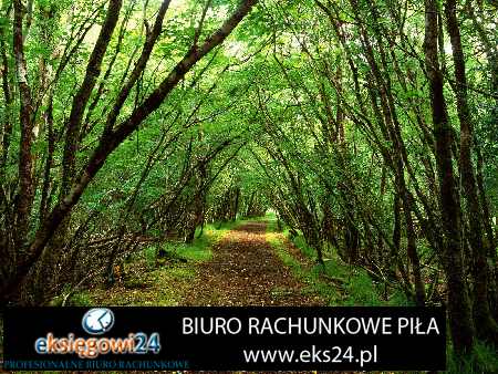 biuro rachunkowe Piła