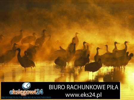 Piła usługi księgowe