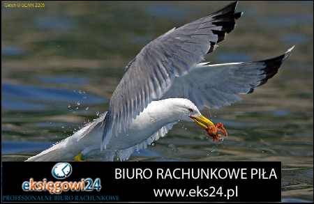 Biura rachunkowe Pila